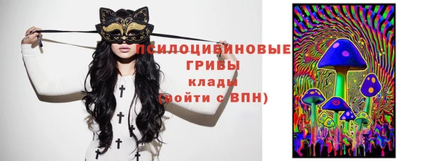 ГАЛЛЮЦИНОГЕННЫЕ ГРИБЫ Протвино