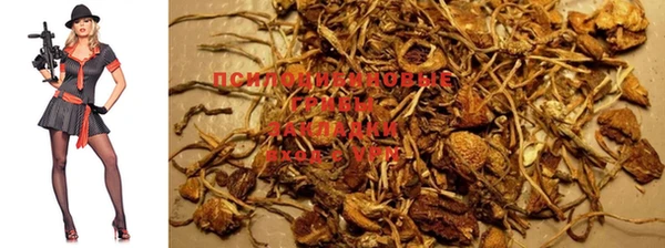 прущая мука Пролетарск