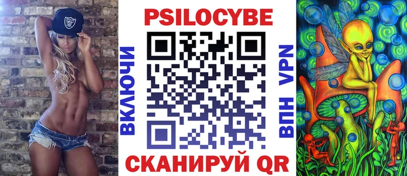 купить наркотик Анадырь Галлюциногенные грибы Psilocybe
